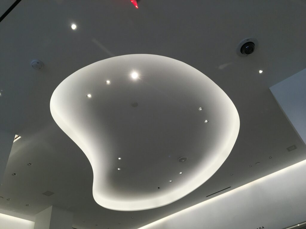 Ceiling Project